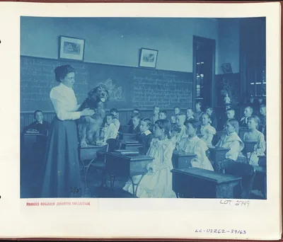 [Classroom scenes in Washington, D.C. public schools: studying live…, Washington D.C., 1899