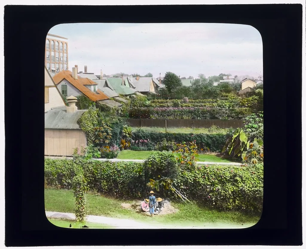 [National Cash Register Company, Dayton, Ohio. Worker garden after…, Ohio, Dayton, 1905