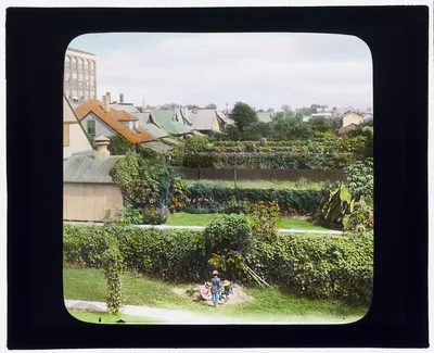 [National Cash Register Company, Dayton, Ohio. Worker garden after…, Ohio, Dayton, 1905