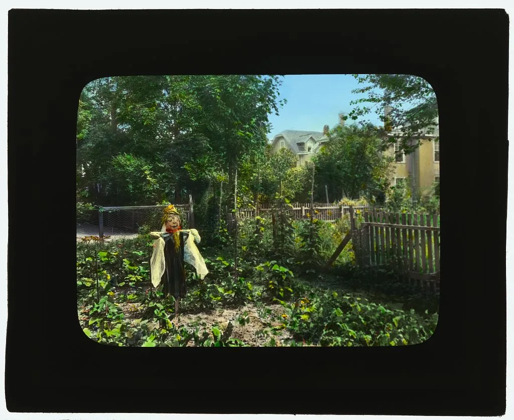 [National Cash Register Company, Dayton, Ohio. Worker vegetable…, Ohio, Dayton, 1905