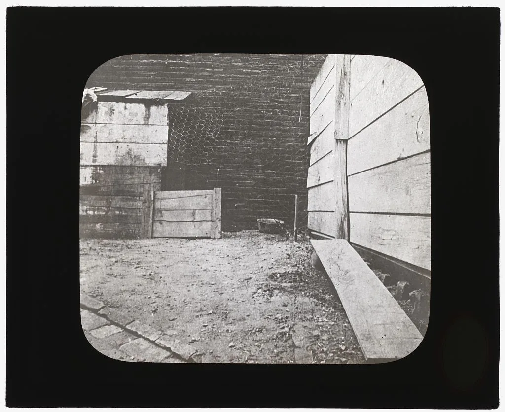 [National Cash Register Company, Dayton, Ohio. Workers garden before…, Ohio, Dayton, 1896