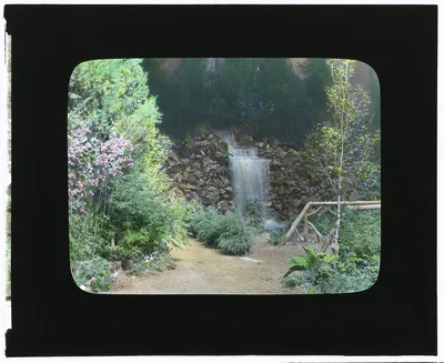 [Boston Horticultural Society Exhibition, Horticultural Hall,…, Massachusetts, Boston, 1921