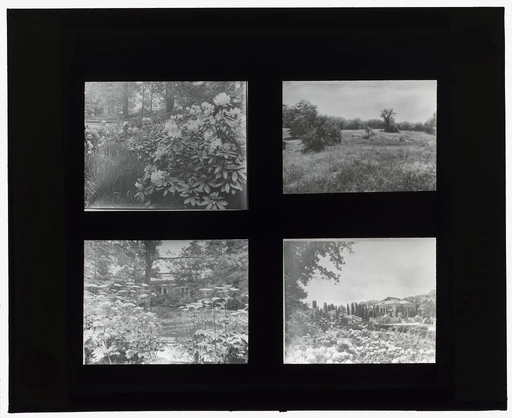 [Unidentified houses and gardens. Rhododendron, field, and buildings…, 1910