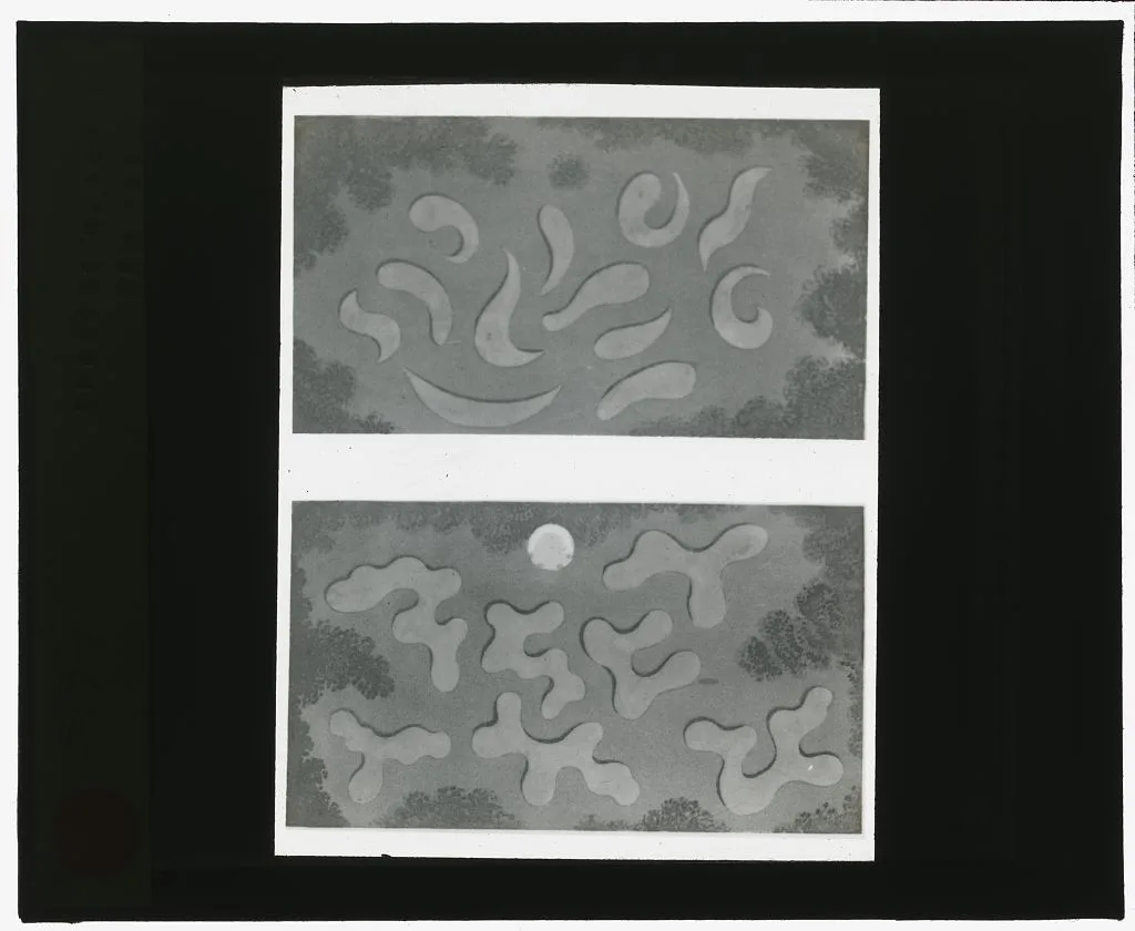 [Reproduction of illustrations showing flower garden designs], 1915