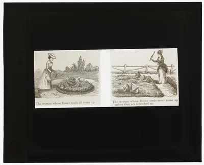 Photograph from 1915: [Reproduction of illustrations showing women and…