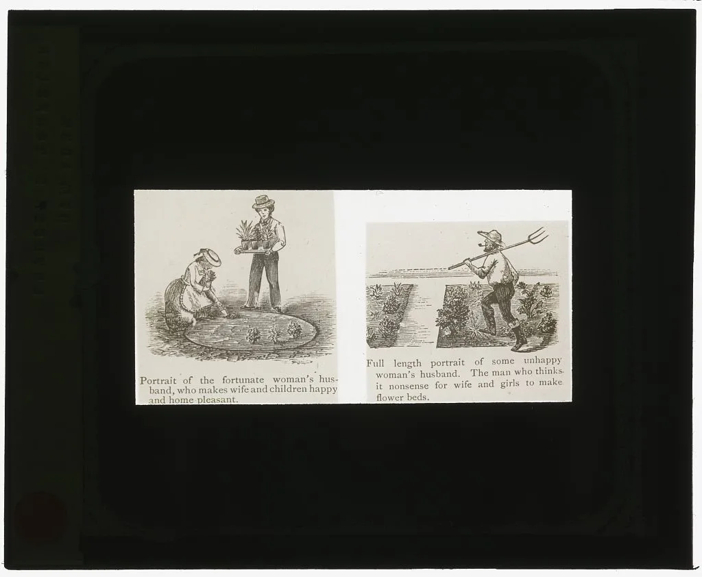 [Reproduction of illustrations showing fortunate and unhappy husbands], 1915