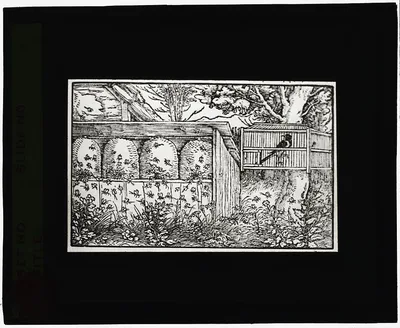 [Reproduction of print showing apiary], 1915