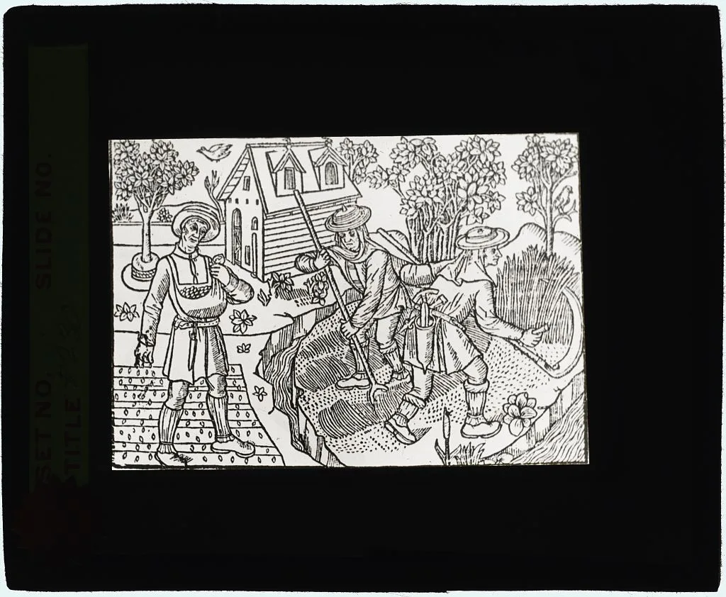 [Reproduction of print showing Men in garden], 1915