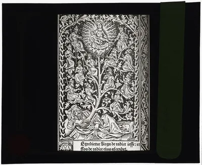 [Reproduction of print showing Branch from the Rod of Jesse], 1915