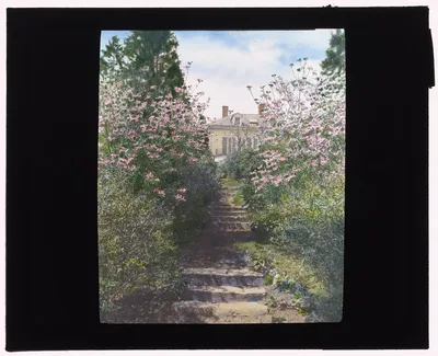 ["Old Acres," Robert Low Bacon house, Old Westbury, New York. Pathway…, 1921