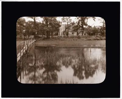 [Brownsville marsh, Nassawadox, Northampton County, Virginia], 1930