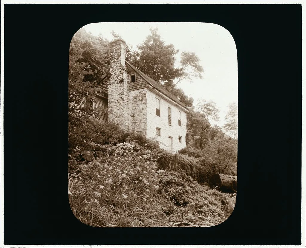 [Johnston's Mill House, Albemarle County, Virginia. Hillside lilies], 1933