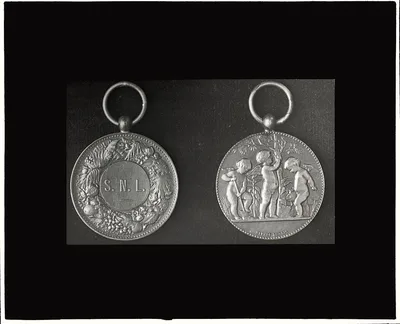 Photograph from 1921: New York City - Medal of the School Nature League
