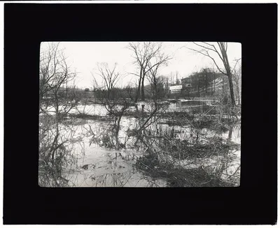 "Before" at Wakefield, New York City, throug[h] driveway was built, 1907