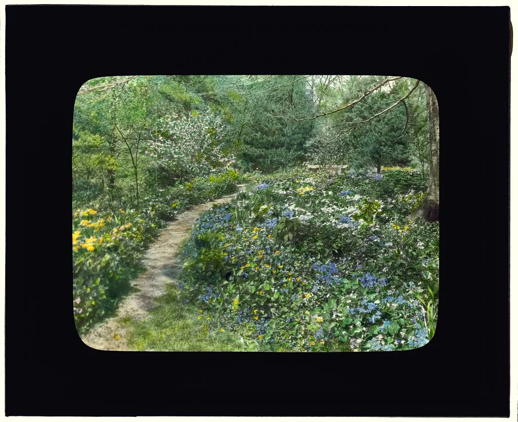[Possibly Herbert Livingston Satterlee Garden, Great Head, Bar…, Maine, Bar Harbor, 1924