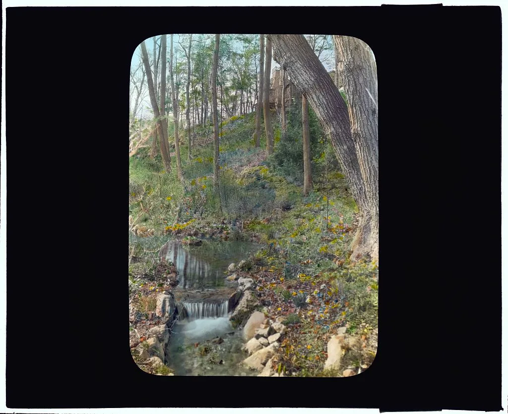 [Unidentified garden. Pathway along a stream], 1920