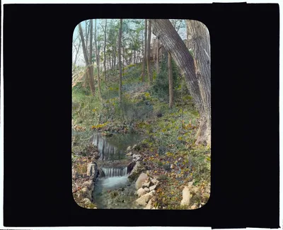 [Unidentified garden. Pathway along a stream], 1920