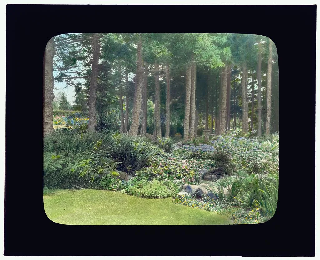 ["Thornewood," Chester Thorne house, Lakewood, Wa. Chairs in grove], Washington, Lakewood, 1923