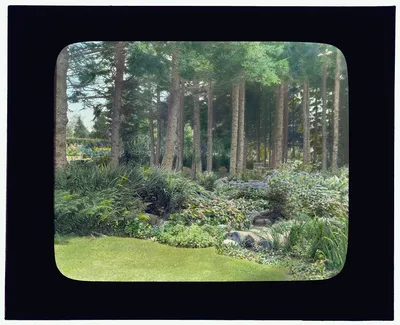 ["Thornewood," Chester Thorne house, Lakewood, Wa. Chairs in grove], Washington, Lakewood, 1923