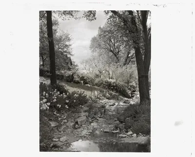 [Pembroke Lane, Mission Hills, Kansas City, Missouri. Iris by a…, Missouri, Kansas City, 1924
