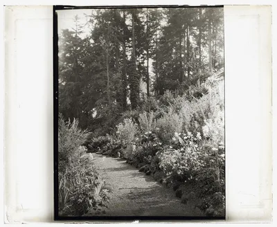 Photograph from 1923: ["High Hatch," Thomas Kerr garden, SW Military…