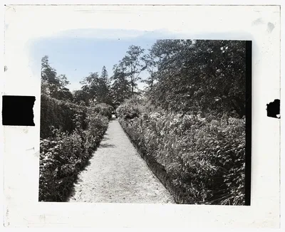 ["Indian Hill Farm," Moseley Family, West Newbury, Massachusetts.…, Massachusetts, West Newbury, 1920