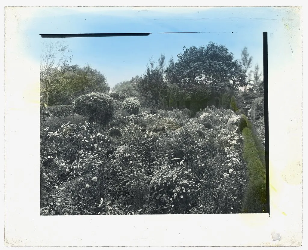 [Unidentified house and garden, probably Virginia. Flower garden with…, 1910
