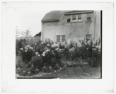 [Unidentified house and garden. Iris bed], 1924