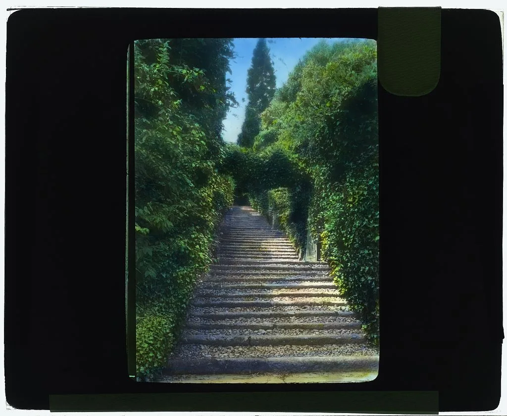 [Botanical Garden, Isola Madre, Lake Maggiore, Piedmont, Italy.…, 1925