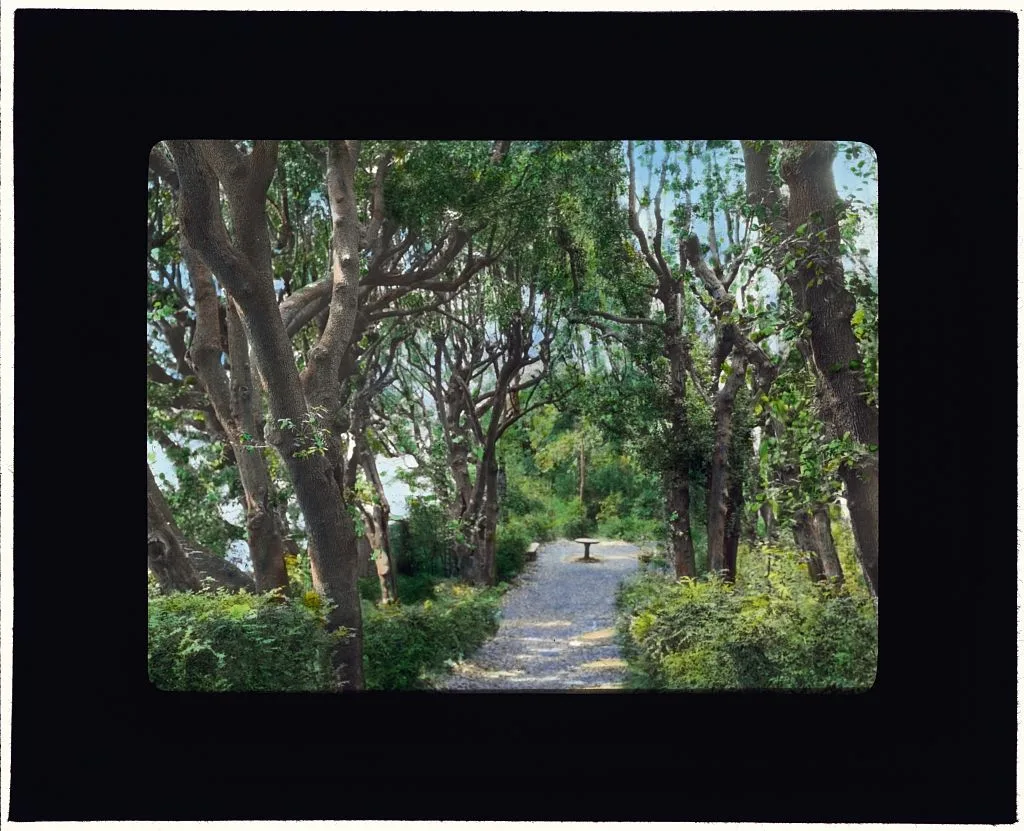 [Villa Gamberaia, Settignano, Tuscany, Italy. Pathway], Italy, Settignano, 1925