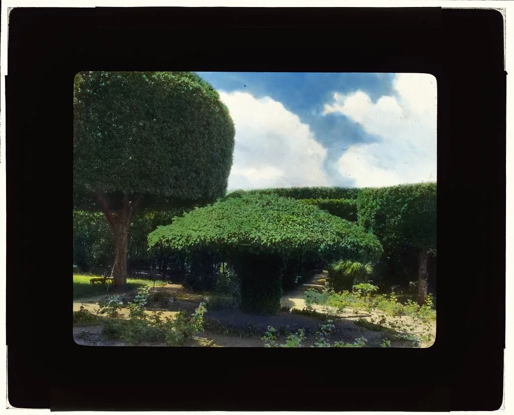 [Unidentified house, probably Italy. Topiary], 1925