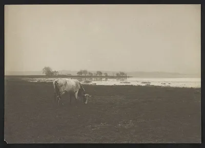 Potomac River from below Alexandria, Virginia, 1895