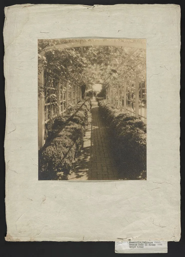 Newcastle, Delaware, George Read II house (about 1790 [sic]), grape…, New York, 1928