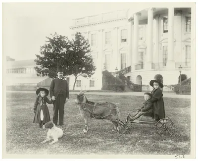On the White House lawn. Major Russell Harrison, Harrison children,…, Washington D.C., 1889