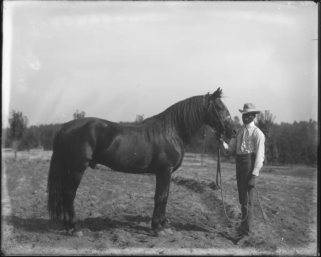 [Horse and groom in a field at Tuskegee Normal and Industrial…, Alabama, 1902