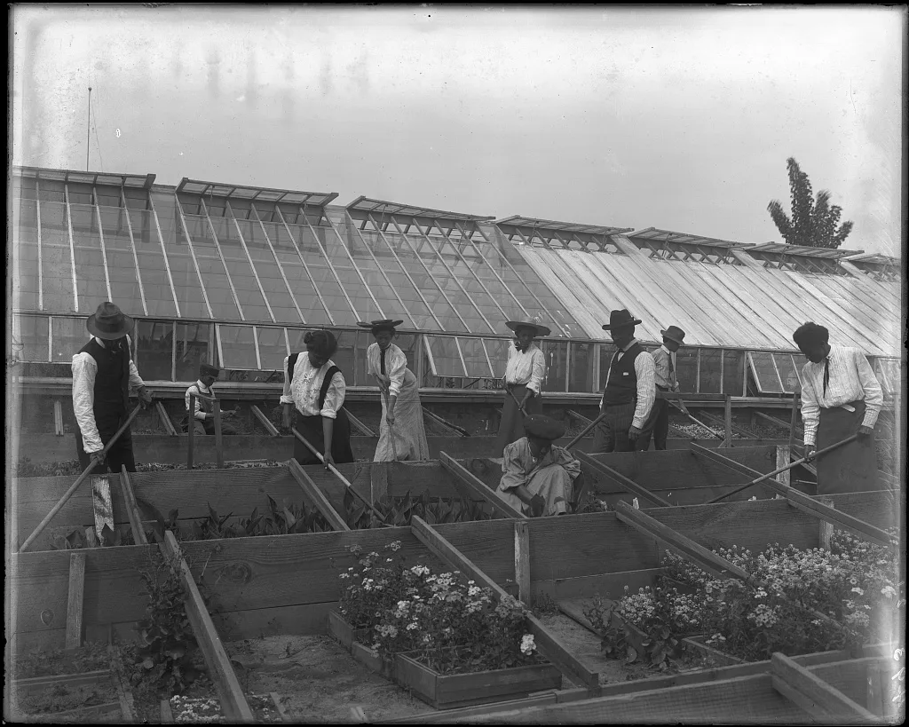 [Students taking care of flowers in beds near green houses, Tuskegee…, Alabama, 1906