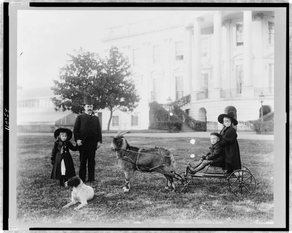 White House--Major Russell Harrison and Harrison children--Baby McKee…, Washington D.C., 1889